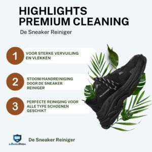 premium cleaning