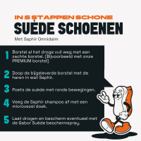 Stappenplan Saphir Omnidaim